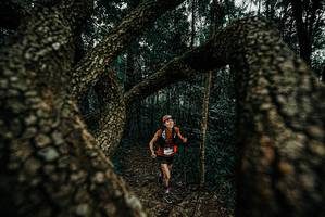 BIB: 
                            <button type="button" onclick="openModal(25673177)" class="btn btn-primary btn-sm float-right btn-popup" data-toggle="modal" data-target=".modal-high-quality">
                        <i class="fas fa-shopping-cart"></i> Add to Cart
                    </button>
                                            <button type="button" onclick="isThisMe(25673177, true)" class="btn btn-success btn-sm float-right btn-popup btn-isme hidden" data-toggle="tooltip" data-placement="bottom" title="นี่คือรูปของคุณใช่ไหม คลิกที่นี่เพื่อเอาเข้าอัลบั้ม">
                        <i class="fas fa-plus"></i> Add to album
                    </button>
                    <button type="button" onclick="isThisMe(25673177, false)" class="btn btn-warning btn-sm float-right btn-popup btn-isnotme hidden">
                        <i class="fas fa-ban"></i> Remove from album
                    </button>